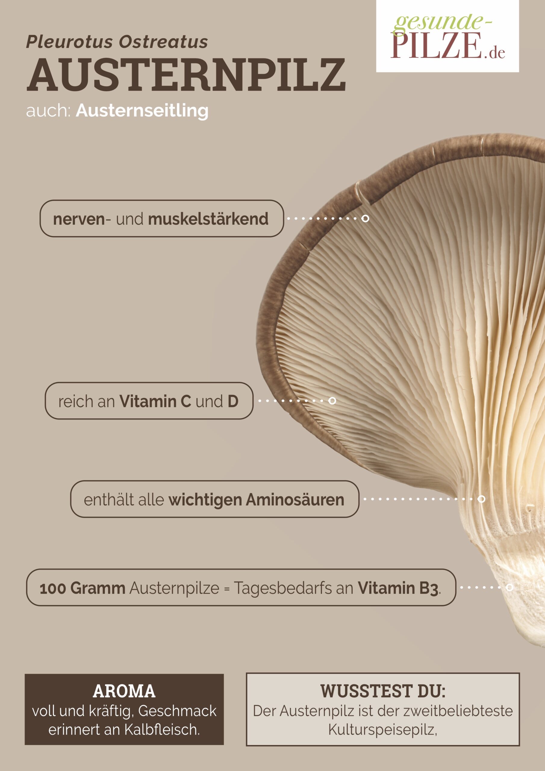 //www.gesunde-pilze.de/wp-content/uploads/2020/10/Poster_Austernpilz_hoch-scaled.jpg