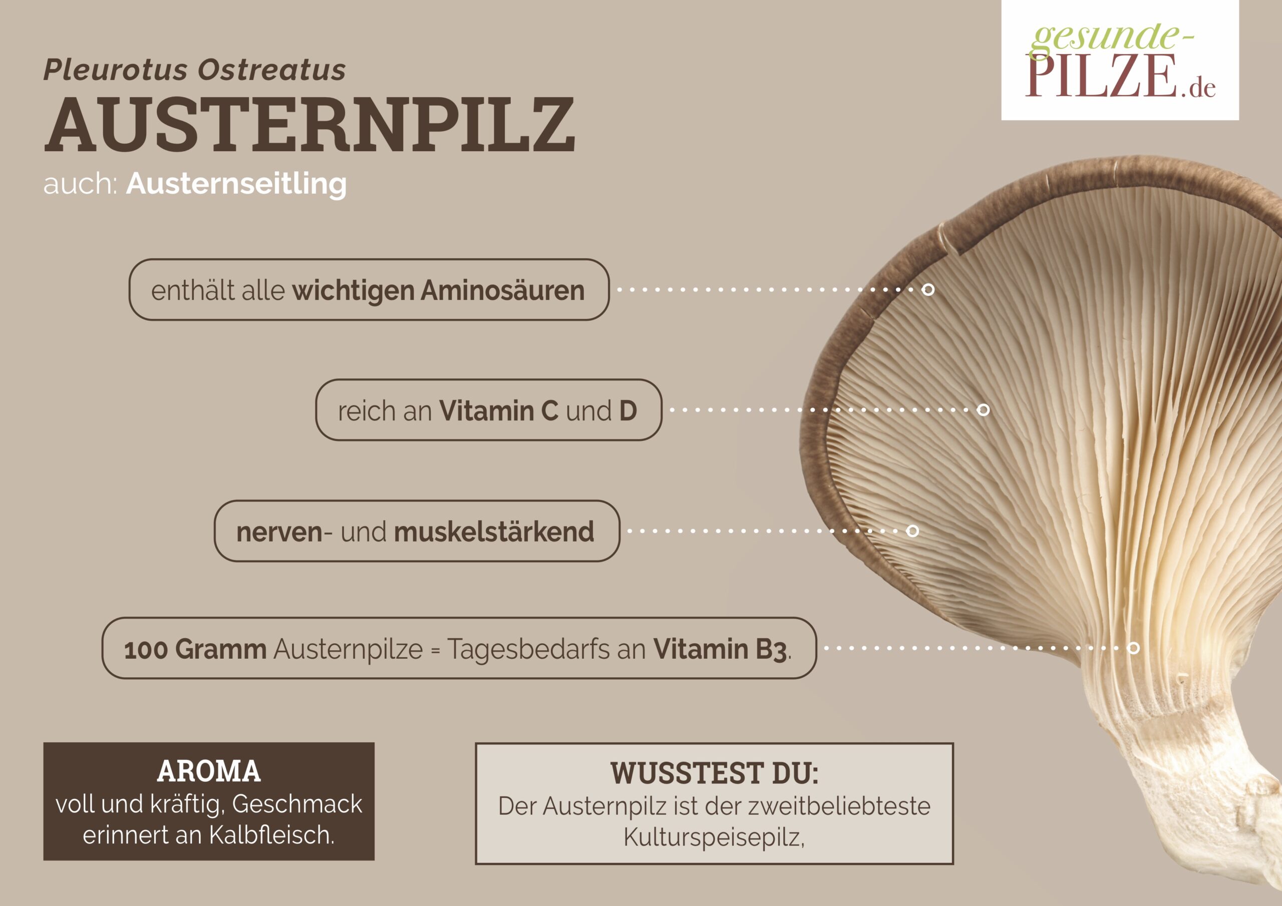 //www.gesunde-pilze.de/wp-content/uploads/2020/10/Poster_Austernpilz_quer-scaled.jpg