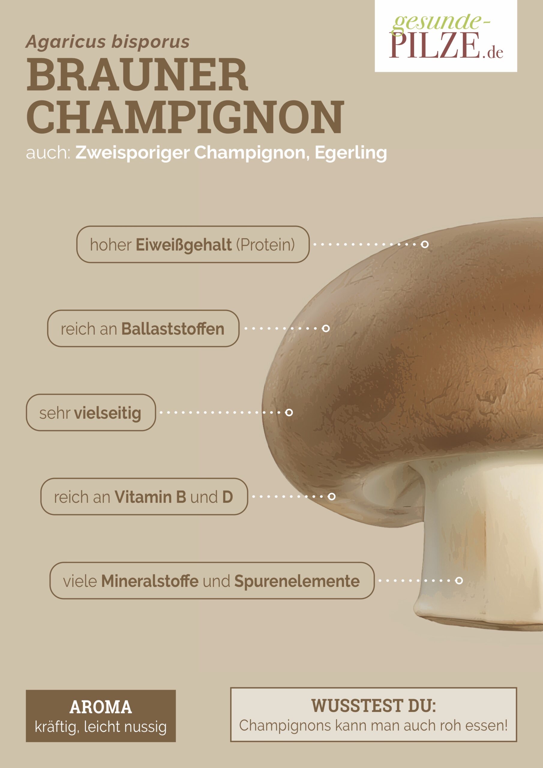 //www.gesunde-pilze.de/wp-content/uploads/2020/10/Poster_Brauner_Champignon_hoch-scaled.jpg
