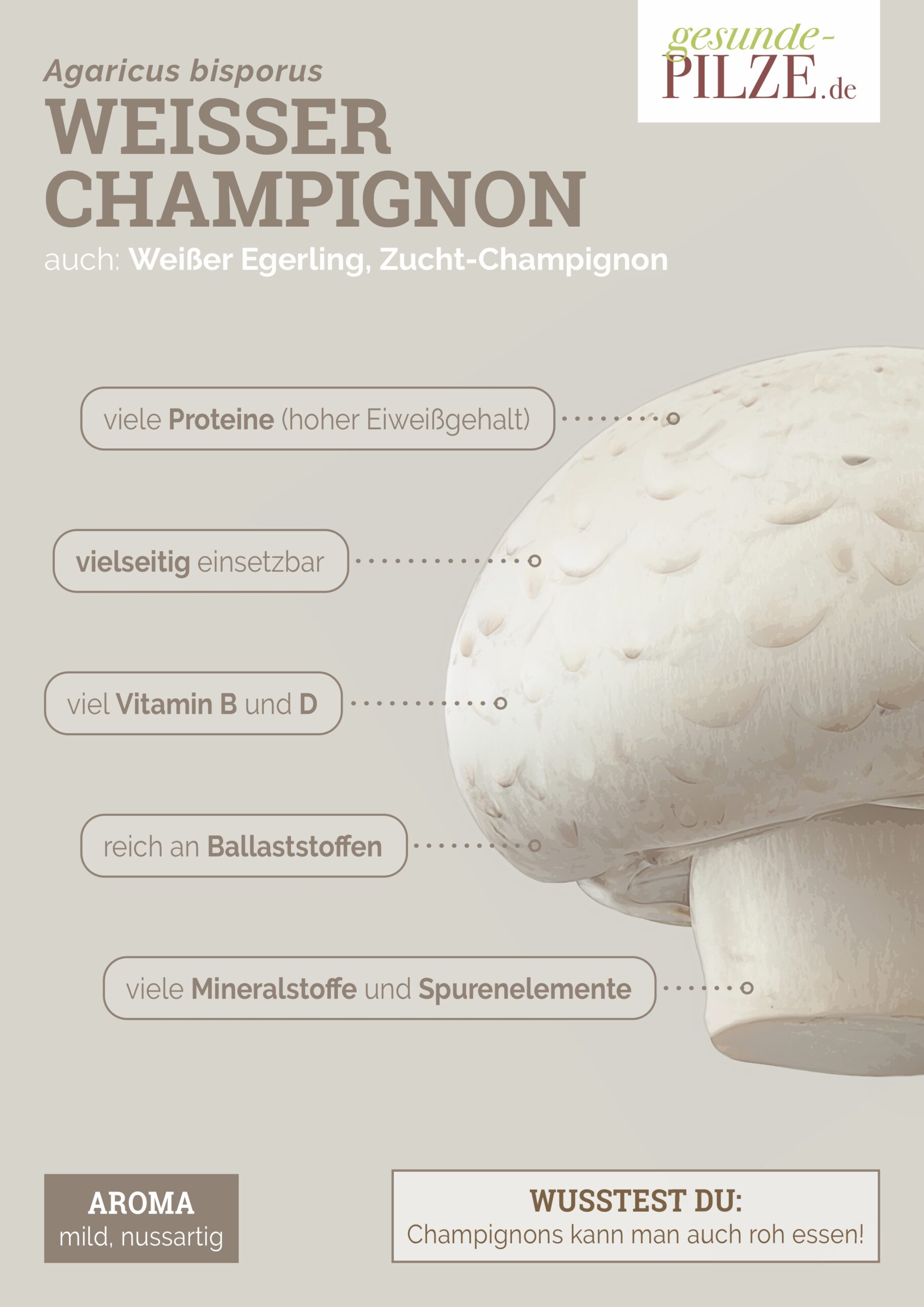 //www.gesunde-pilze.de/wp-content/uploads/2020/10/Poster_Weisser_Champignon_hoch-scaled.jpg