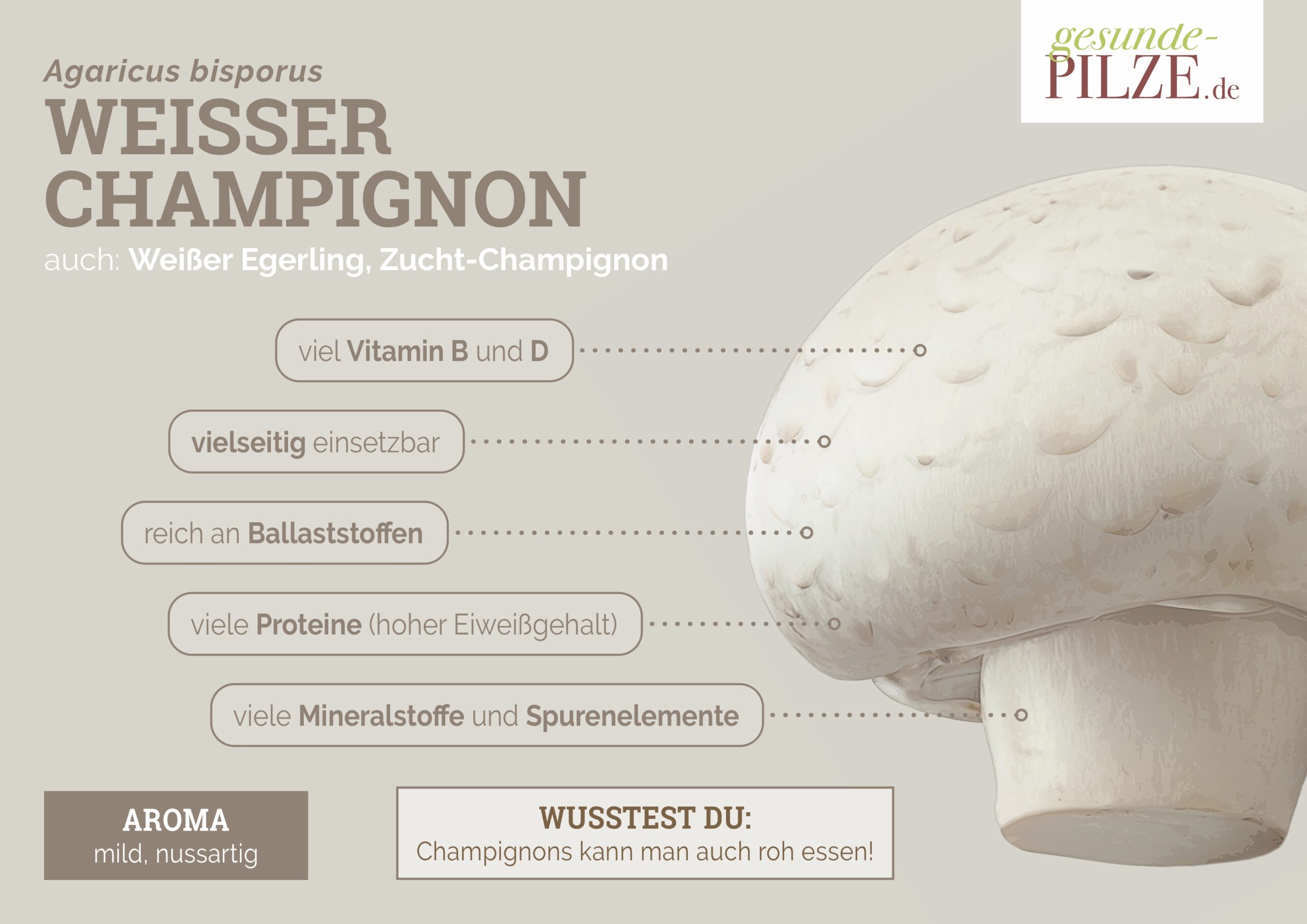 //www.gesunde-pilze.de/wp-content/uploads/2020/10/Poster_Weisser_Champignon_quer-scaled.jpg